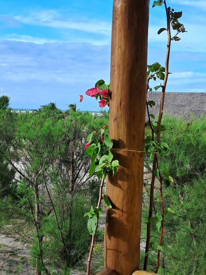 Beekite Wind Village Luis Correia Dış mekan fotoğraf